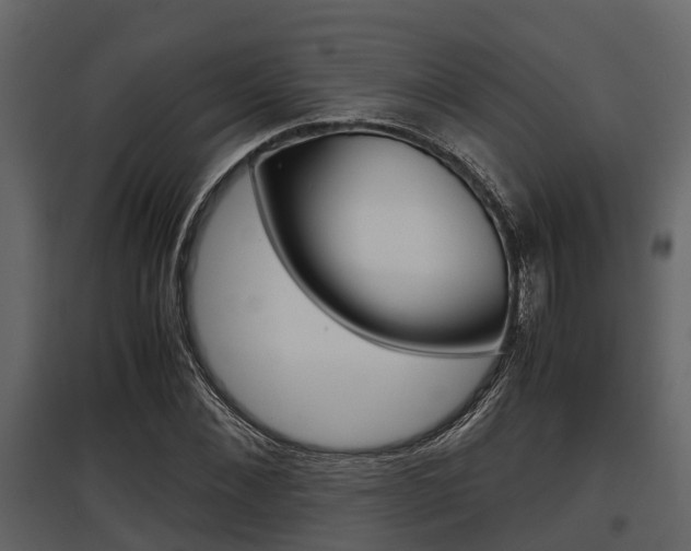 X0000097800876200803140734