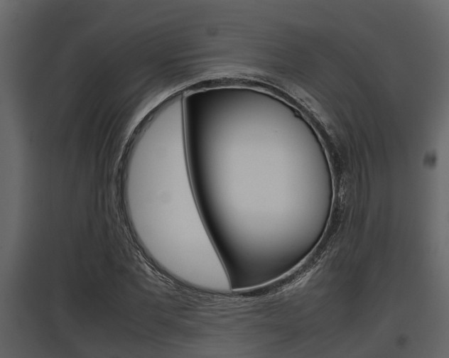 X0000097800877200803140734