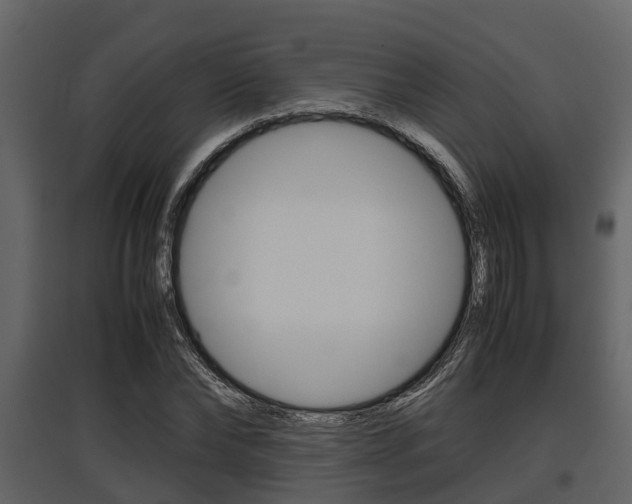 X0000097800878200803140734