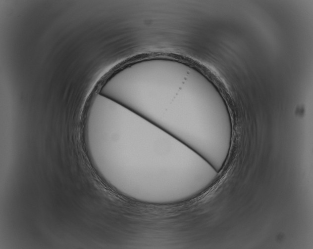 X0000097800879200803140734
