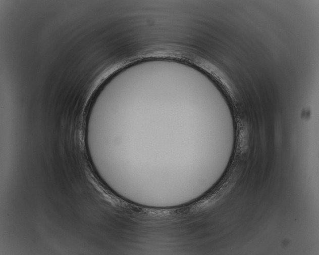 X0000097800882200803140734
