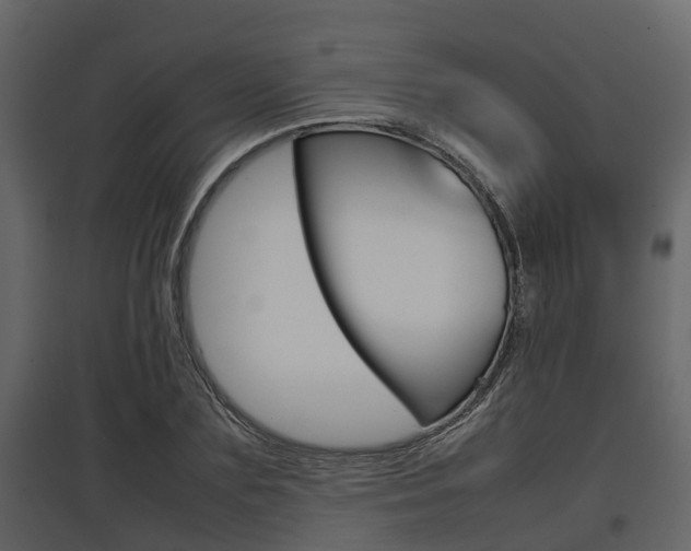 X0000097800883200803140734