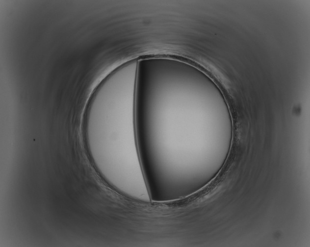 X0000097800885200803140734