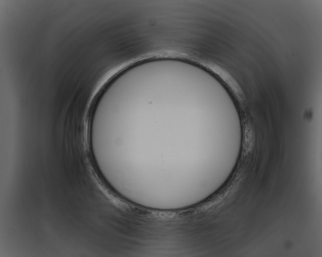 X0000097800886200803140734