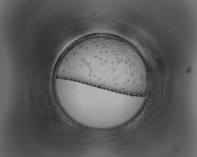 X0000097800887200803140734