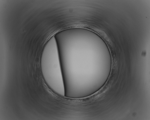X0000097800889200803140734