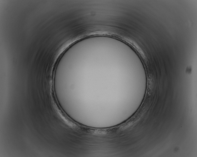 X0000097800890200803140734
