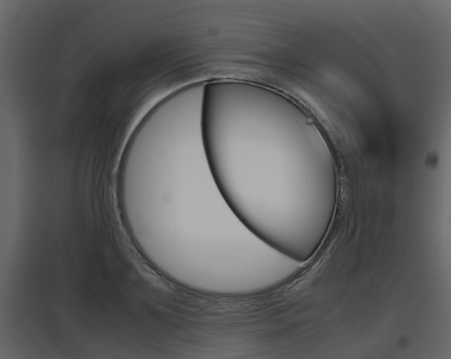X0000097800891200803140734