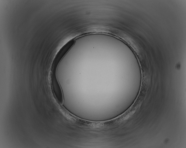 X0000097800893200803140733