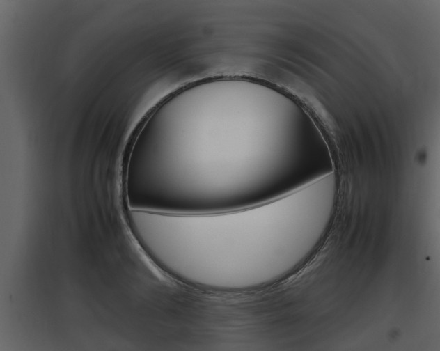 X0000097800894200803140733