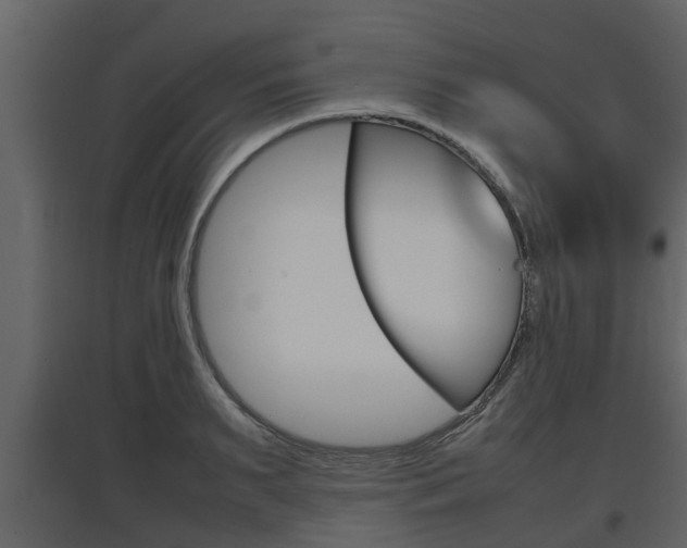 X0000097800895200803140733
