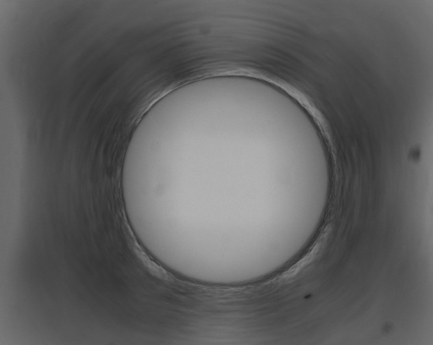 X0000097800897200803140733