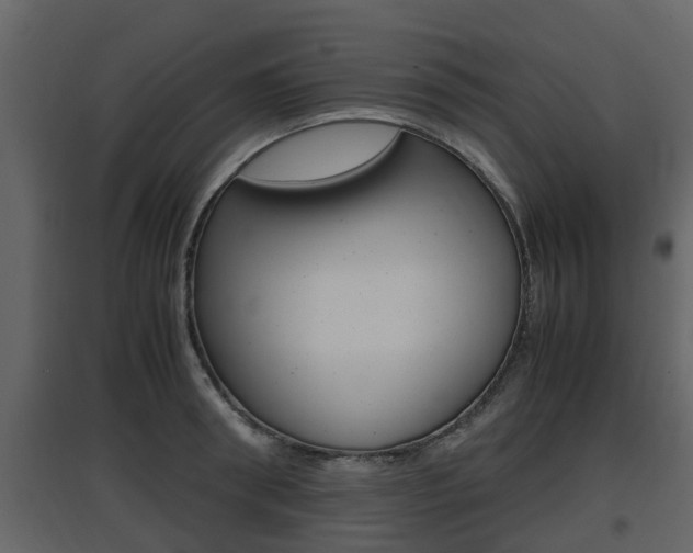 X0000097800898200803140733