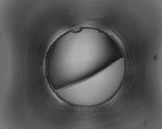 X0000097800902200803140733