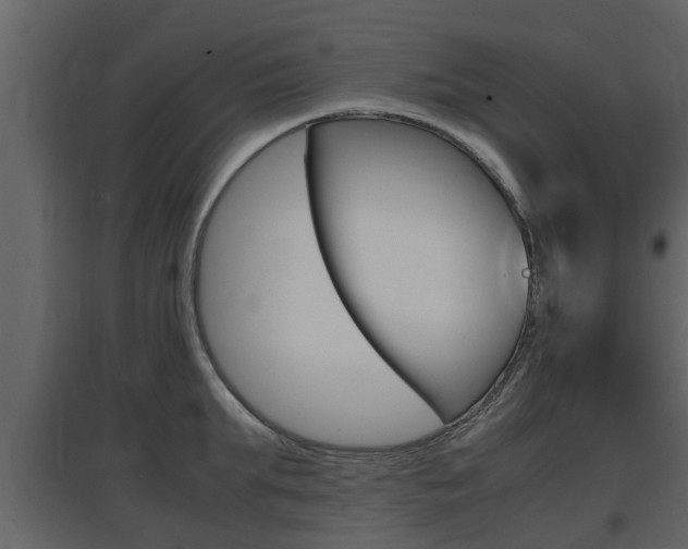 X0000097800903200803140733