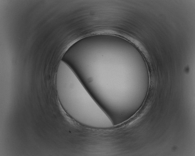 X0000097800905200803140733