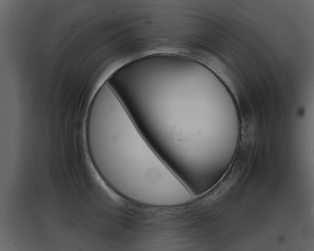 X0000097800906200803140733