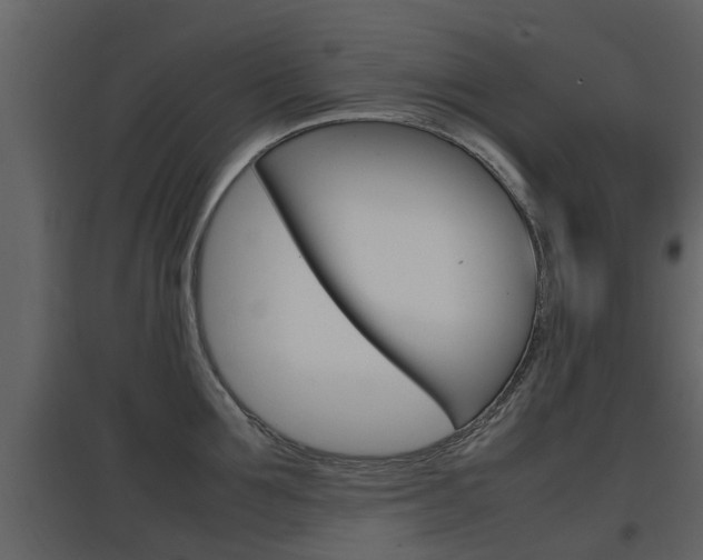 X0000097800907200803140733