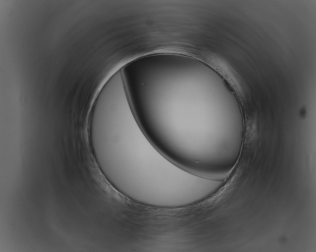 X0000097800908200803140733