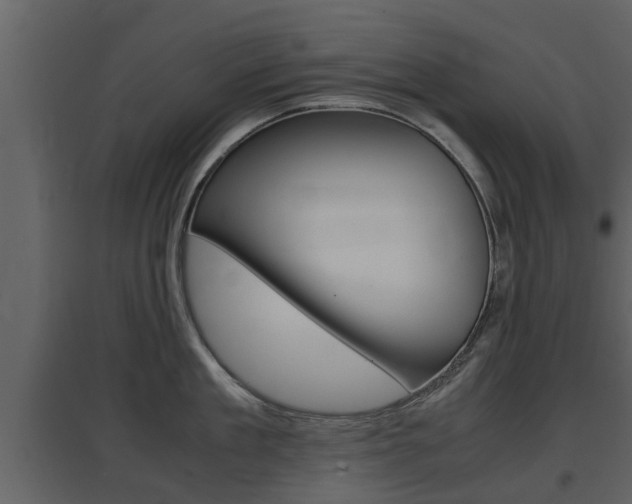 X0000097800909200803140733