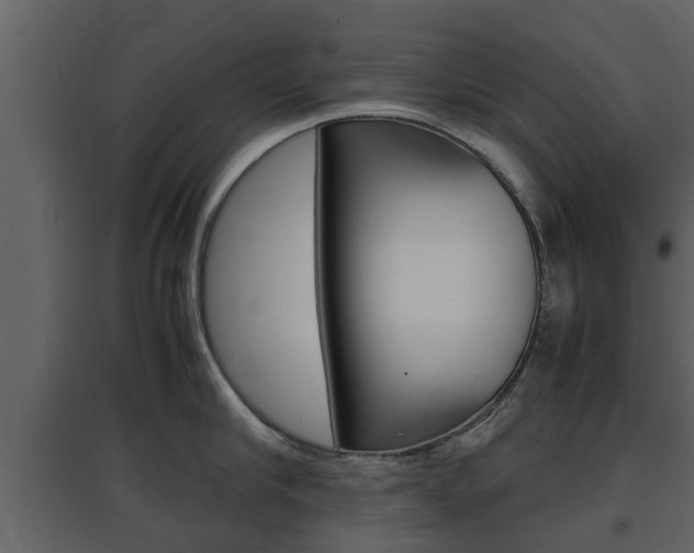 X0000097800910200803140733