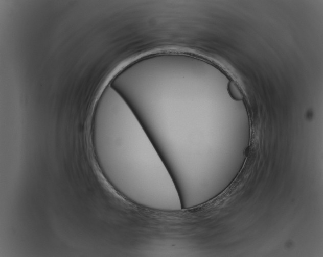 X0000097800911200803140733