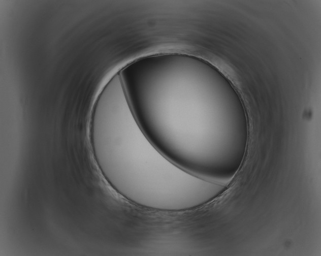 X0000097800912200803140733