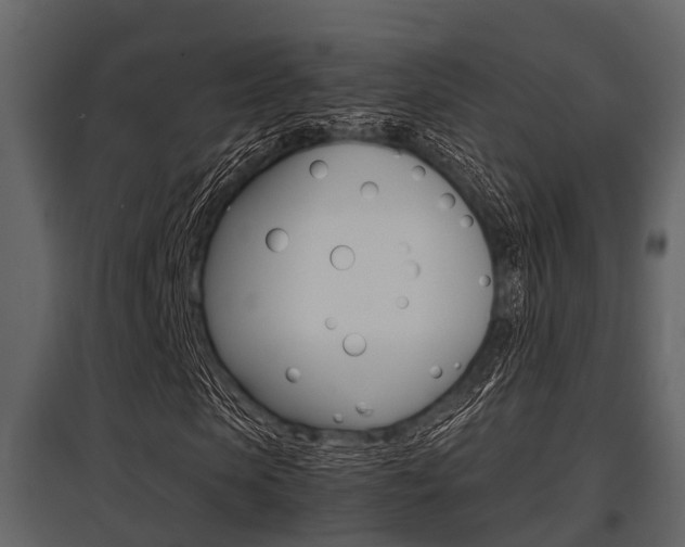 X0000097800913200803140733