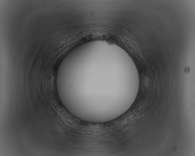 X0000097800914200803140733