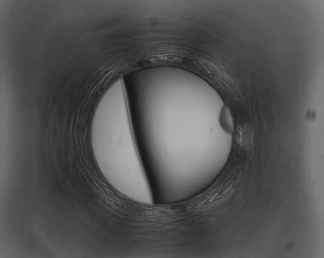 X0000097800915200803140733