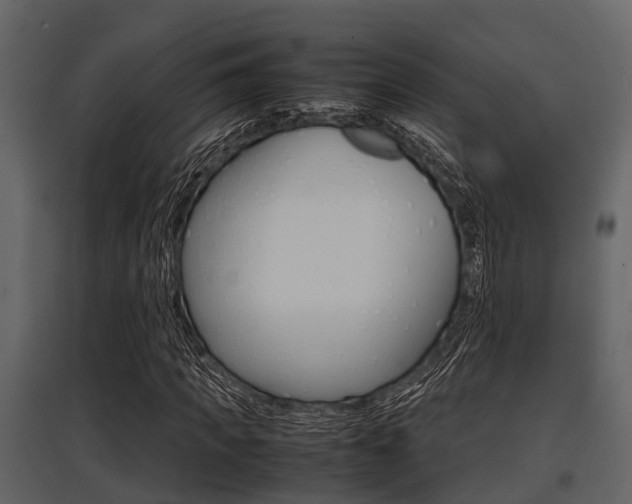 X0000097800917200803140733