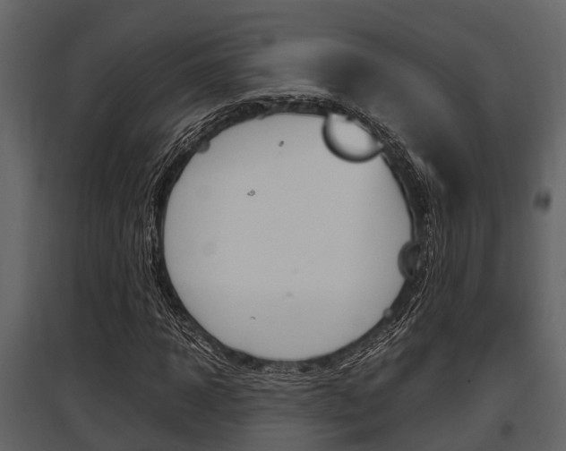 X0000097800918200803140733