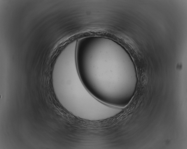 X0000097800920200803140733
