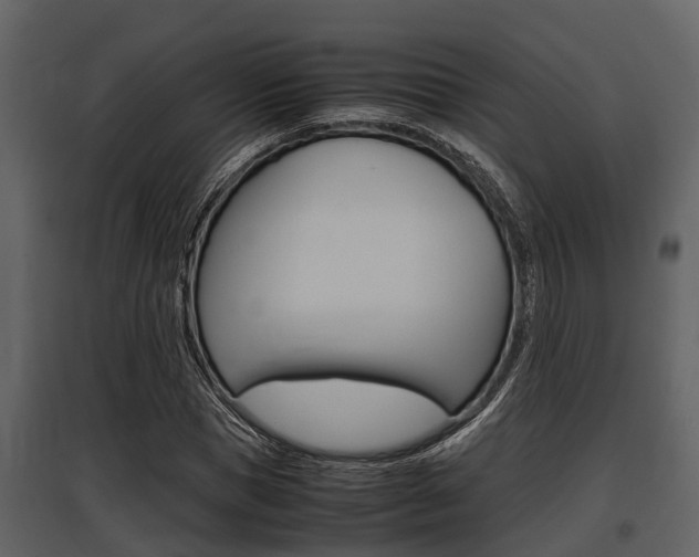 X0000097800921200803140733