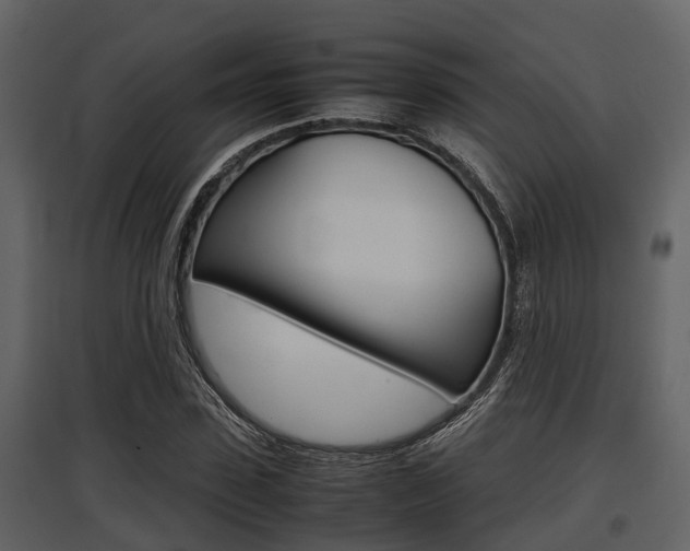 X0000097800923200803140733