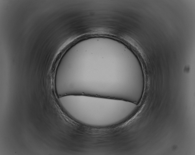 X0000097800925200803140733
