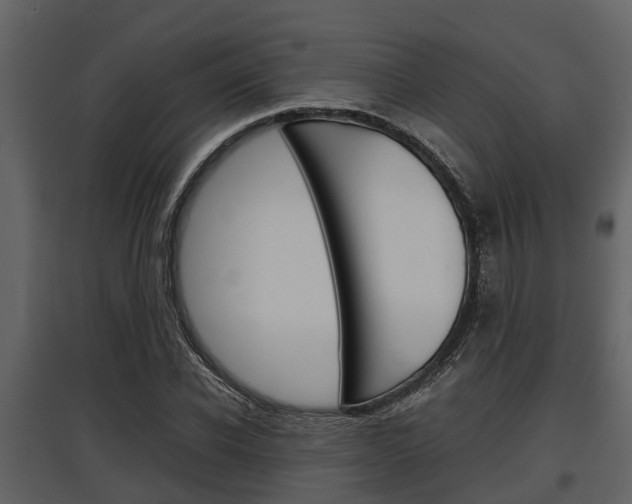 X0000097800926200803140733