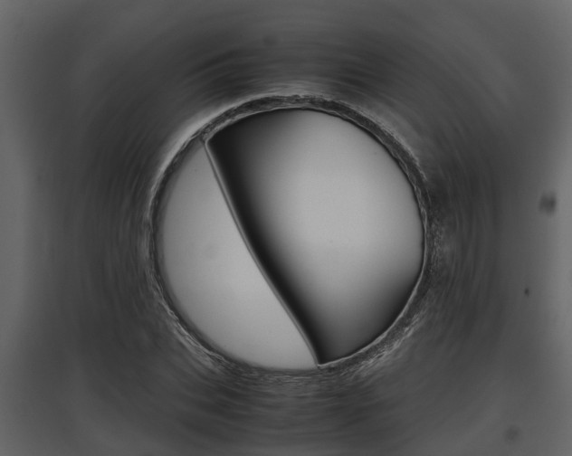 X0000097800927200803140733