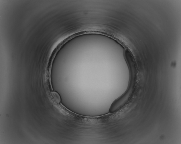X0000097800928200803140733