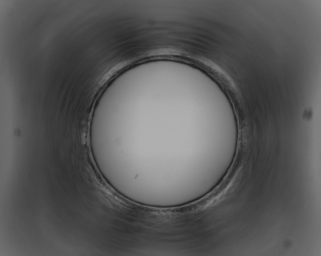 X0000097800929200803140733