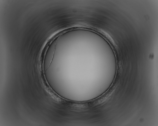 X0000097800931200803140733