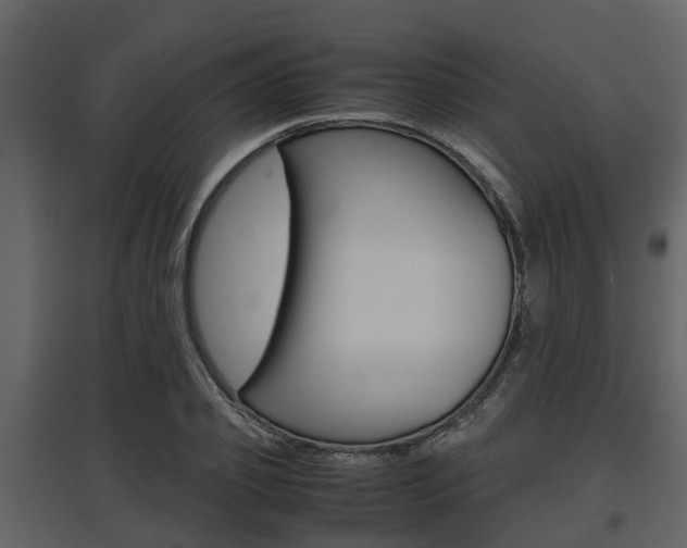 X0000097800933200803140733