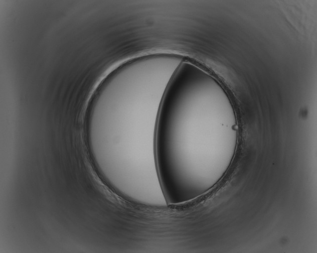 X0000097800934200803140733