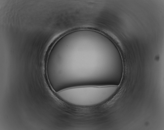 X0000097800935200803140733