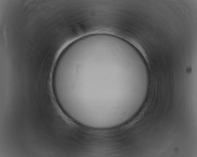 X0000097800936200803140733