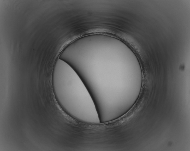 X0000097800937200803140733