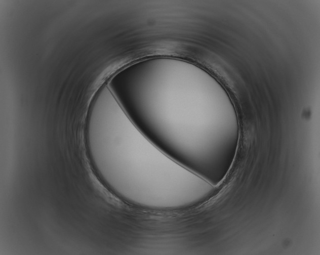 X0000097800938200803140733