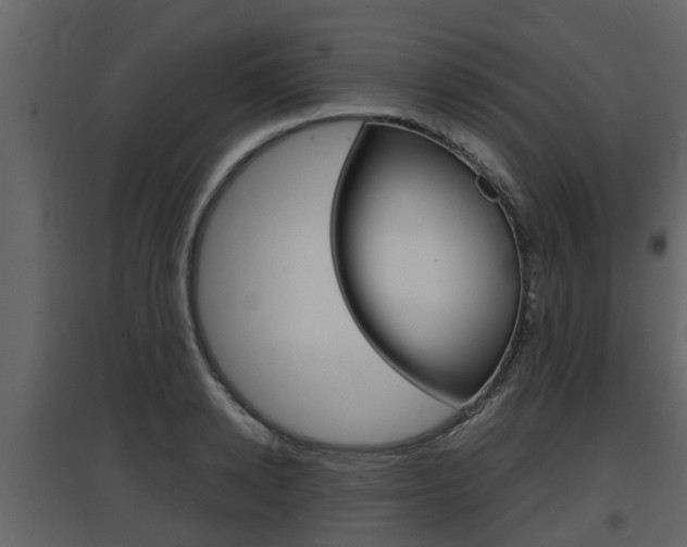 X0000097800942200803140733