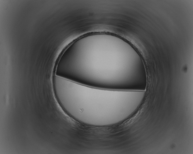 X0000097800943200803140733
