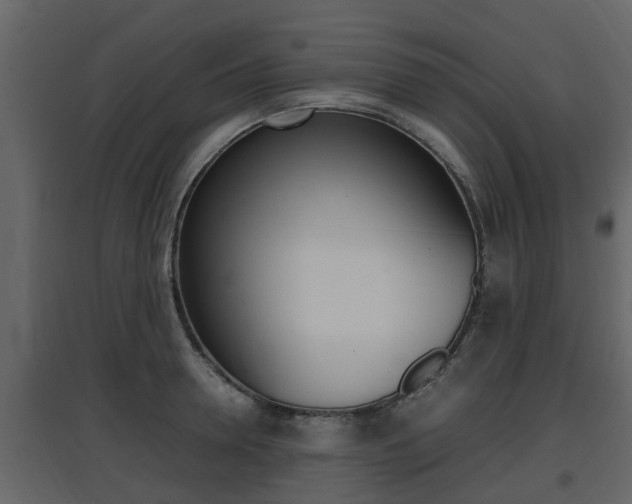 X0000097800946200803140733